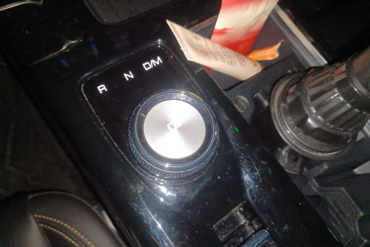 Used Haval DARGO 2021 2.0T DCT 4x4 Chinese Rural Dog Edition
