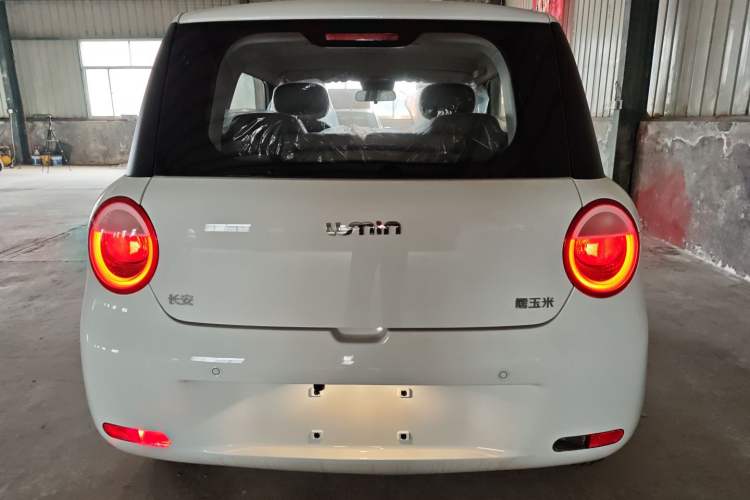 Used Qiyuan Lumin 2024 130km Qingyue Version
