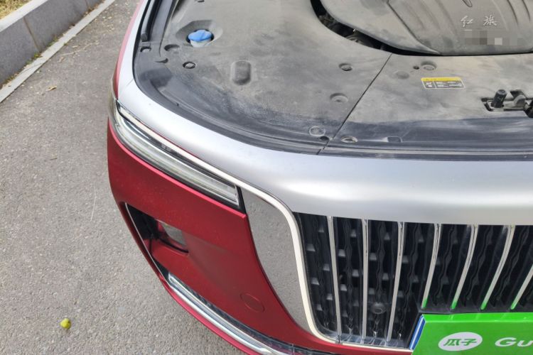 Used Hongqi H9 2020 2.0T Smart Connect Flagship Edition