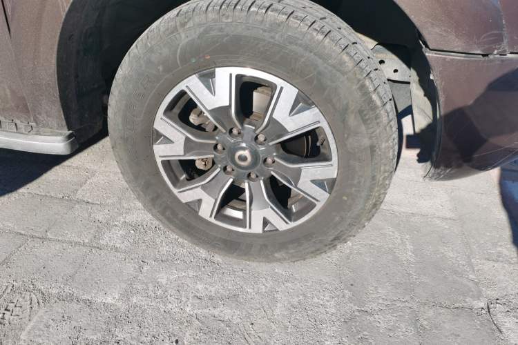 Used Great Wall Poer 2019 2.0T Automatic Gasoline 4x4 Comfort Edition GW4C20B