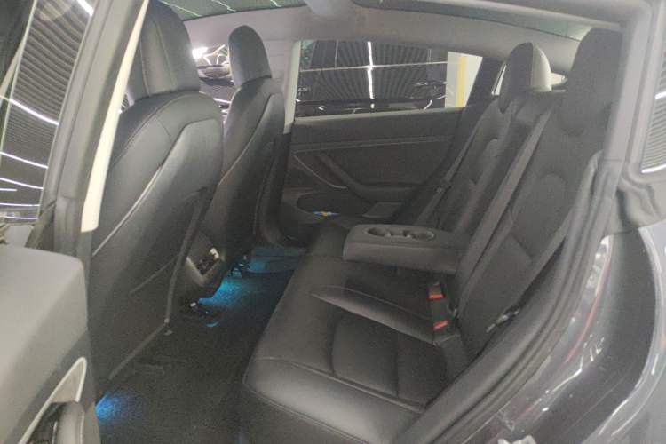 Used Tesla Model 3 2020 Standard Range Rear-Wheel Drive Upgraded Version Left Rear Seat