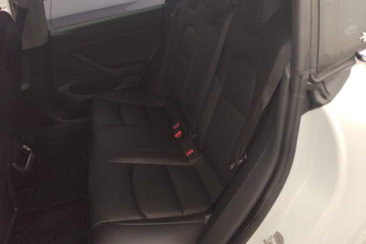 Used Tesla Model 3 2019 Standard Range Rear-Drive Upgraded Version