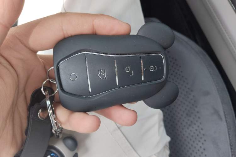 Used BYD Tang New Energy 2024 DM-i Glory Edition 112KM Prestige Model