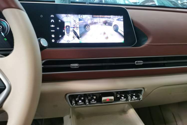 Used ORA Good Cat 2024 401 km Luxury Version