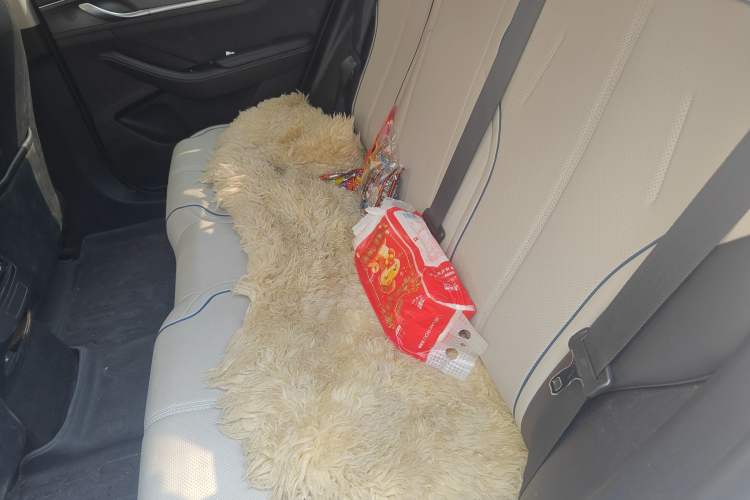 Used BYD Destroyer 05 2024 HONOR Edition DM-i 55KM Luxury Model Left Rear Seat