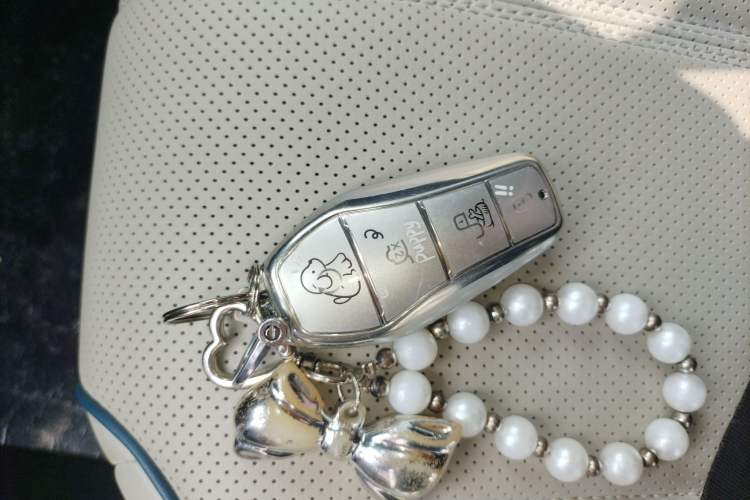 Used BYD Destroyer 05 2024 HONOR Edition DM-i 55KM Luxury Model Vehicle Key