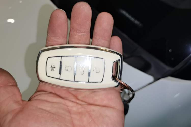 Used ORA Black Cat 2019 351 km Family Edition
