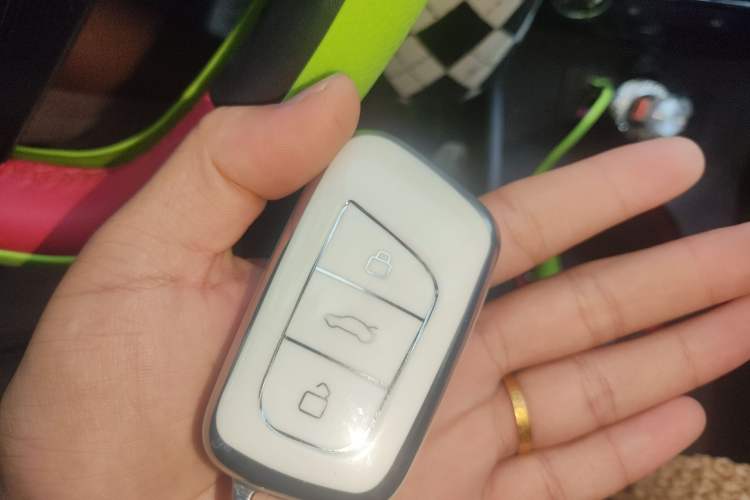 Used Chery New Energy Little Ant 2022 Revised Version Sweet Pink Edition Half-Sugar Version Lithium Iron Phosphate 30.7 kWh 30 kW 301 km Interior 1