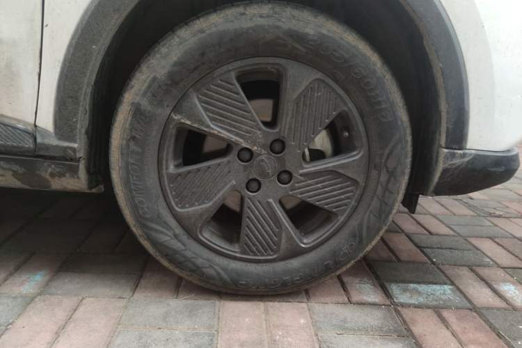 Used Geometry E Firefly 2023 401KM Lightning Tiger 5-Seater