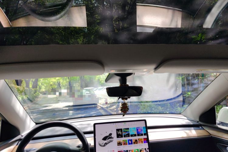 Used Tesla Model Y 2021 Long-Range All-Wheel-Drive Version Headliner