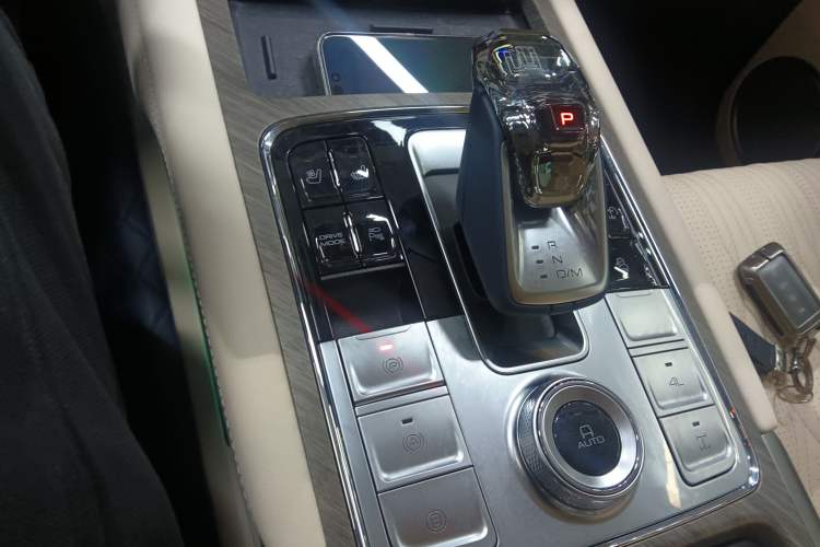 Used Tank 500 New Energy 2023 Hi4-T Gear Lever