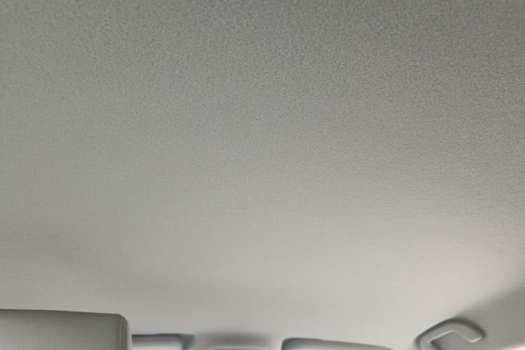 Used BYD Yuan Pro 2023 401KM Luxury Version Headliner