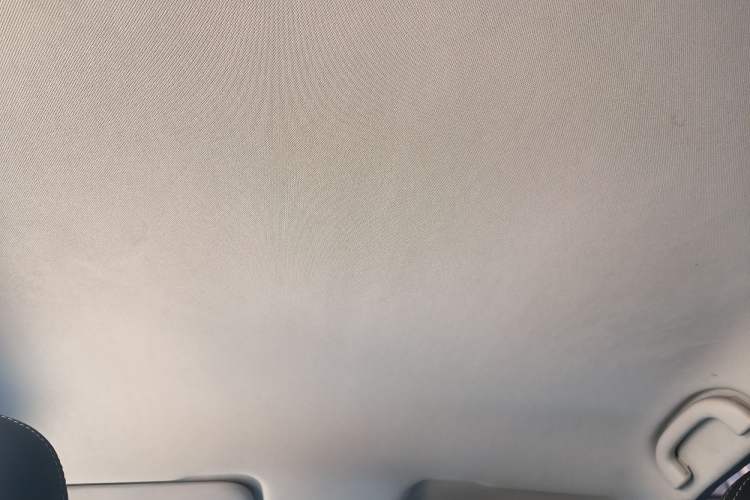 Used NETA V 2021 Long-Range Entertainment Edition Upgrade Model