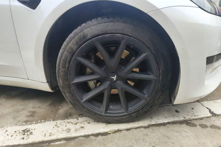 Used Tesla Model 3 2022 Rear-Wheel-Drive Version
