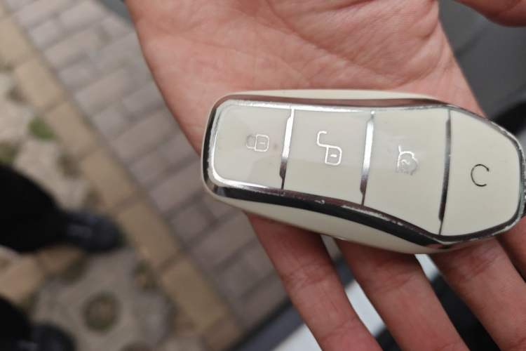 Used BYD Yuan Pro 2021 401 km Luxury Version