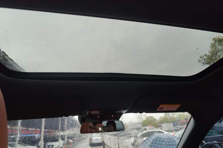 Used Li Auto L9 2022 Max model Headliner