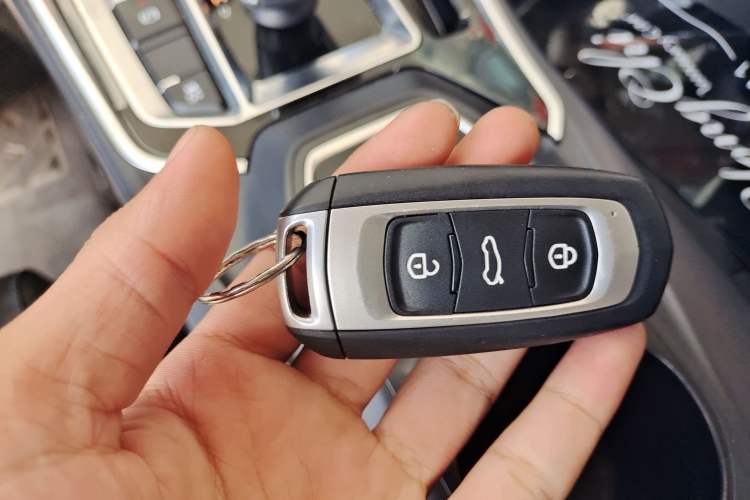 Used Geely Auto Emgrand New Energy 2019 EV500 Ambition Standard Range Edition