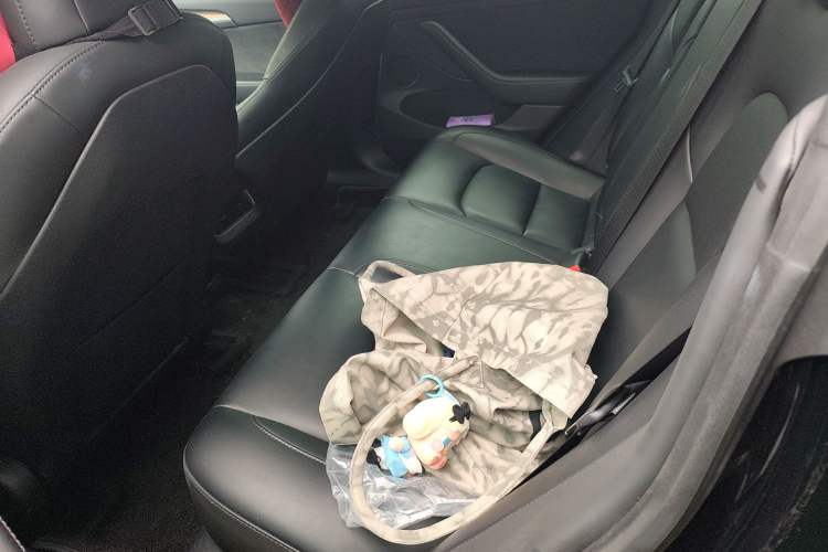 Used Tesla Model 3 2022 Rear-Wheel-Drive Version Left Rear Seat