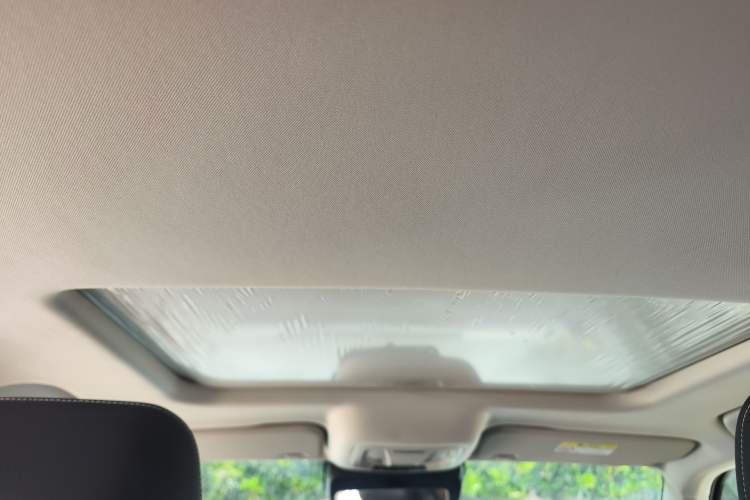 Used Tank 300 2023 2.0T Iron Rider 02 Headliner