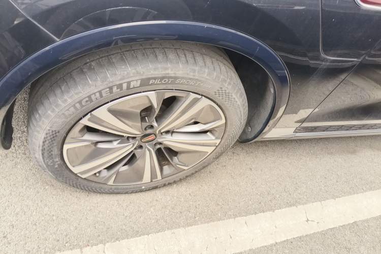 Used Hongqi E-HS9 2021 460 km Range Flagship Edition Six-Seater