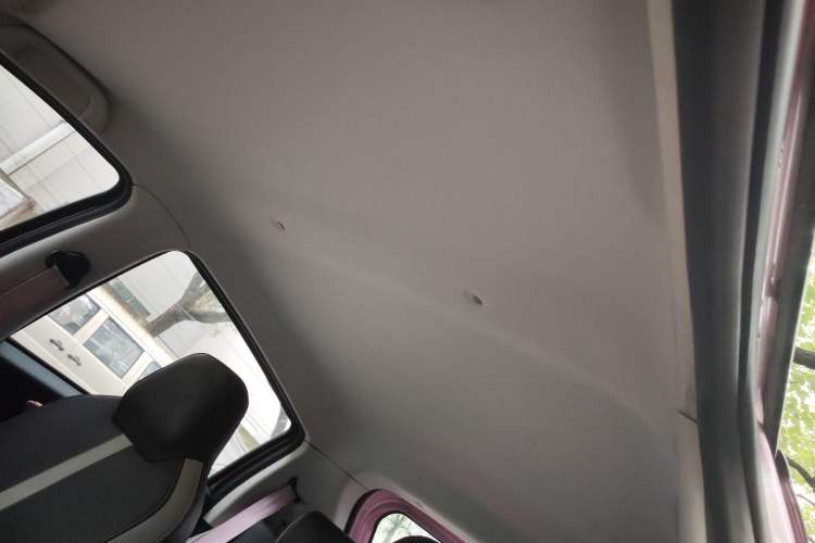 Used SOL E10X 2022 Flower Fairy Style Baby's Breath