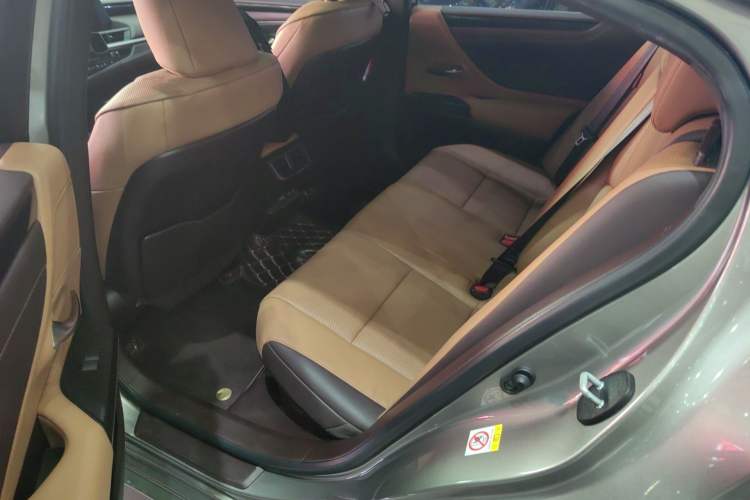 Used Lexus ES 2018 300h Premier Edition China VI Standard Left Rear Seat