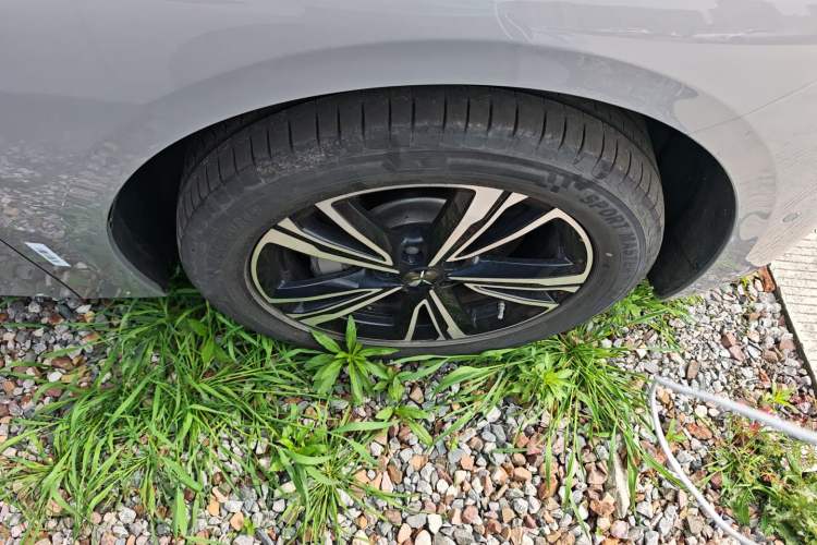 Used Hongqi EH7 2024 690 Pro Exterior 4