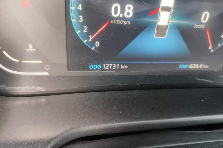 Used JAC Group T8 2021 2.4T PRO Gasoline Two-Wheel Drive Rui Xing Edition Standard Dual 4K22D4T
