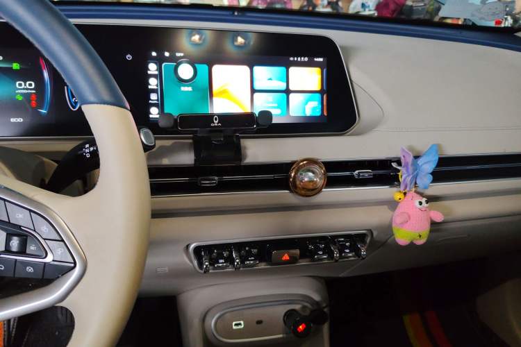 Used ORA Good Cat 2024 501 km Luxury Version