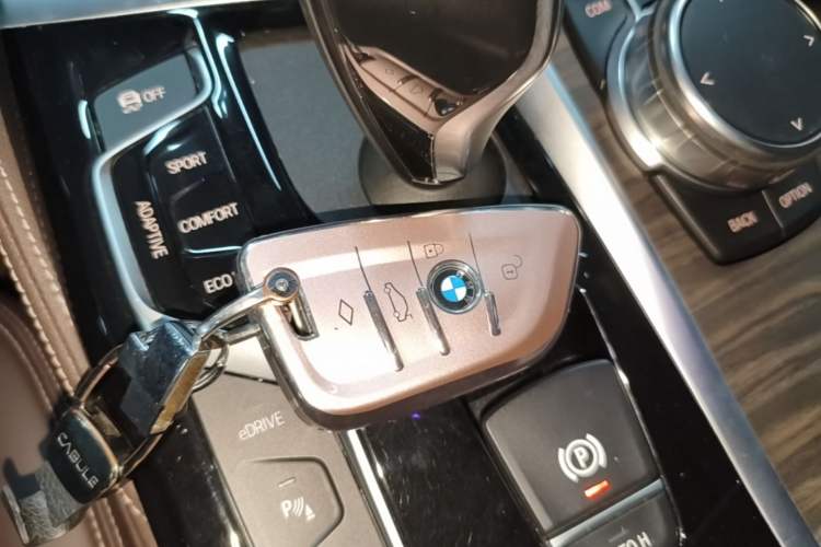 Used BMW 5 Series New Energy 2019 530Le Luxury Package