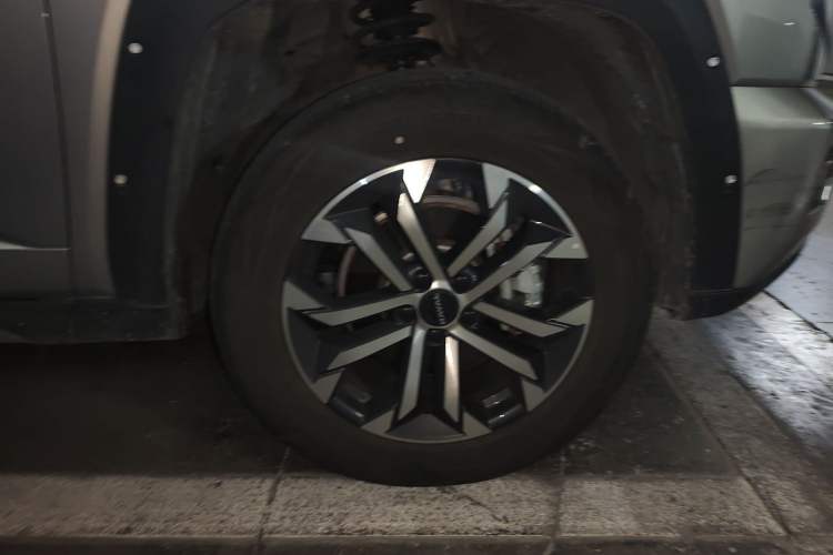 Used Haval H Dog 2023 2.0T Two-Wheel Drive Trendy Outdoor Edition
