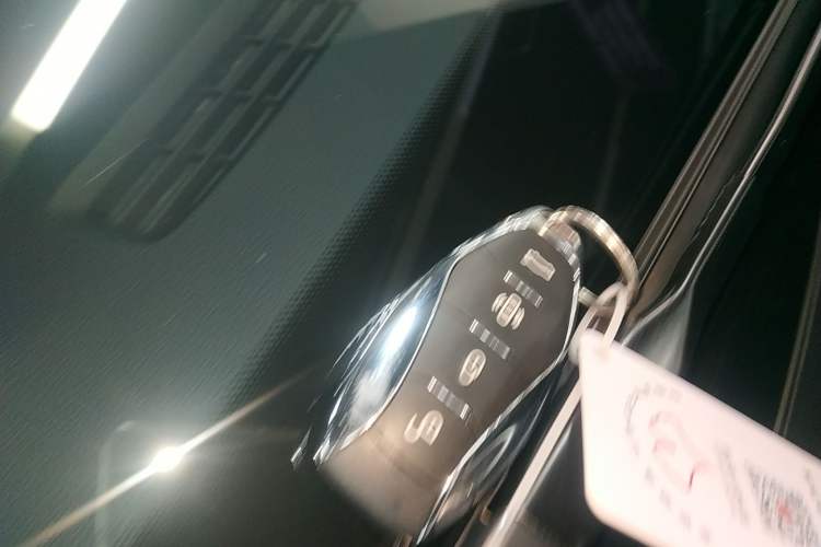 Used Hongqi HS7 PHEV 2024 2.0T PHEV Four-Wheel Drive Flagship Edition 6 Seats