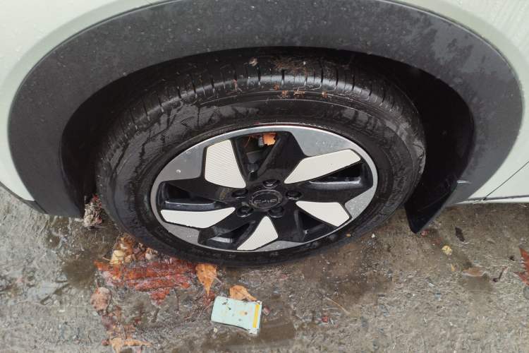 Used BYD Dolphin 2025 420km Free Edition