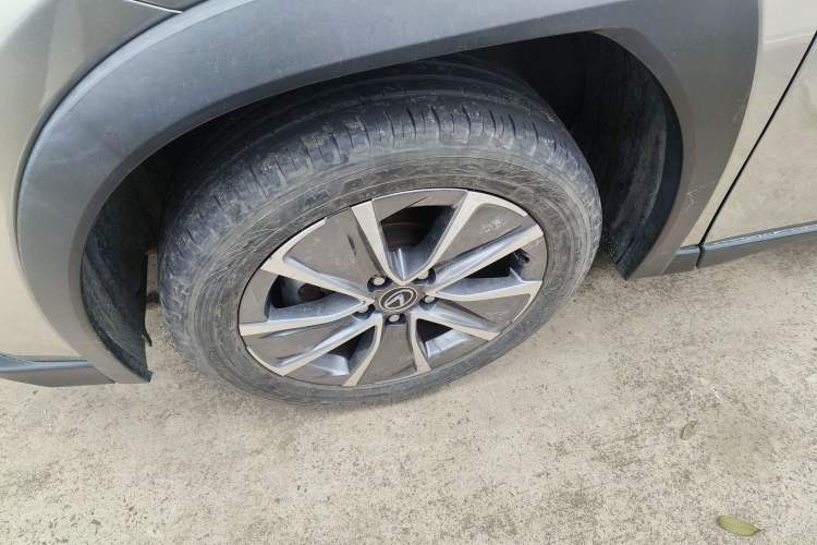 Used Lexus UX New Energy 2020 300e Pure·Joy Edition