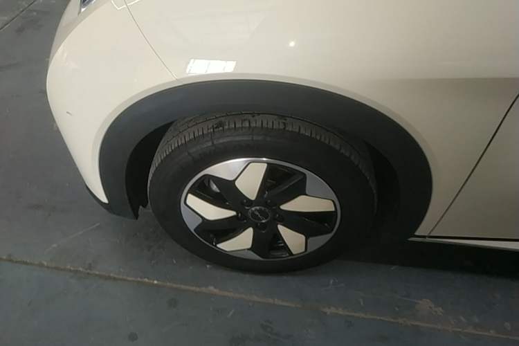 Used BYD Dolphin 2025 420km Free Edition
