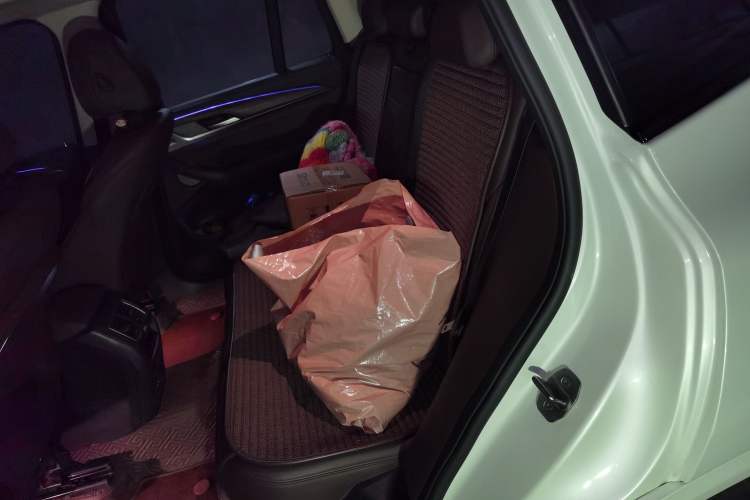 Used BMW X3 2022 xDrive30i Luxury Model M Night Sky Package
