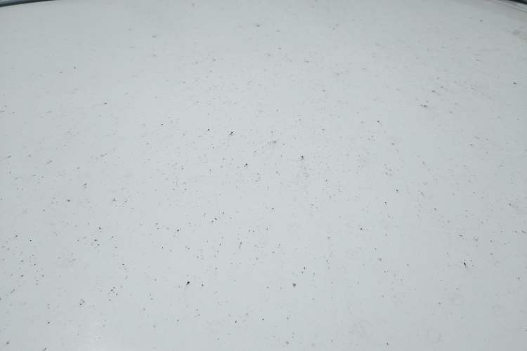 Used Chery QQ Ice Cream 2022 Taohuanxi Sweet Peach Edition Roof