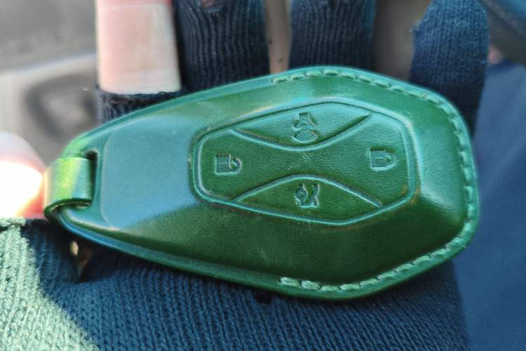 Used ARCFOX Alpha S5 2024 560PRO 185kW
