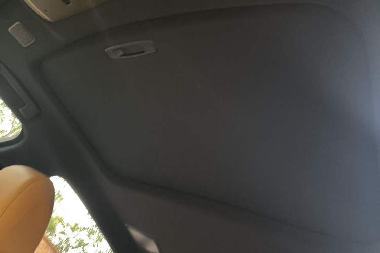 Used Lexus LS 2021 500h Excellence Edition Headliner