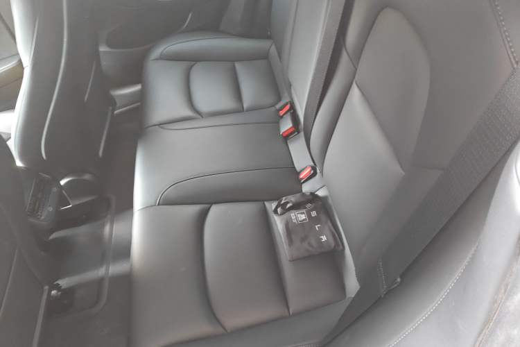 Used Tesla Model 3 2021 Standard Range Rear-Wheel Drive Upgraded Version 3D6