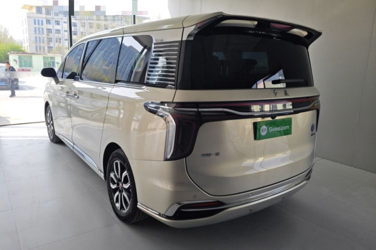 Used Hongqi HQ9 2023 2.0T Smart Connect Flagship Edition Rear Left 45 Deg