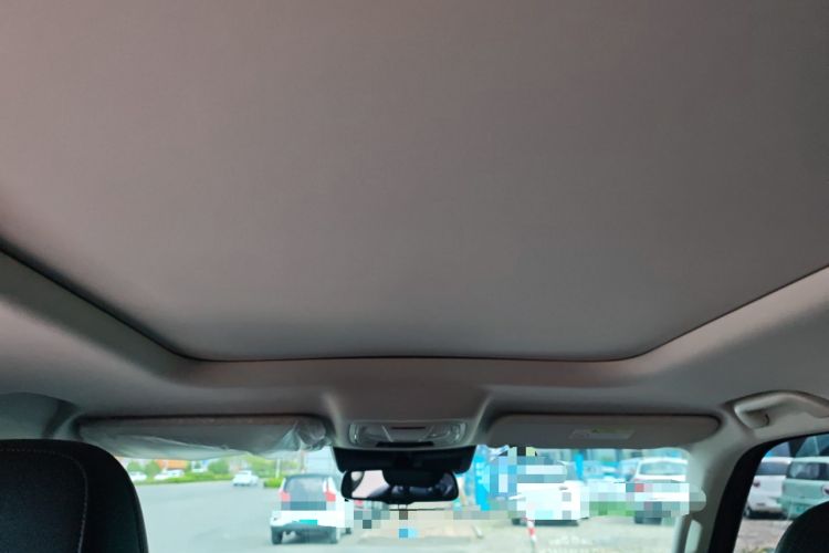 Used Haval Raptor New Energy 2024 Hi4 145 Cross-Over Edition Headliner