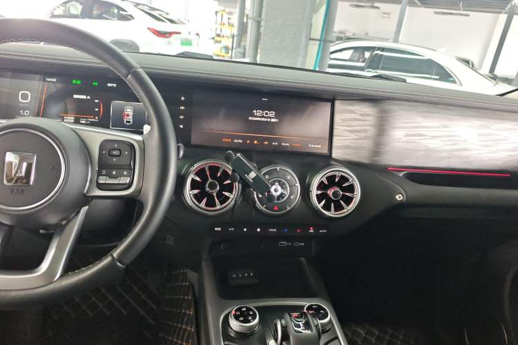 Used Tank 300 2024 2.0T Conqueror
