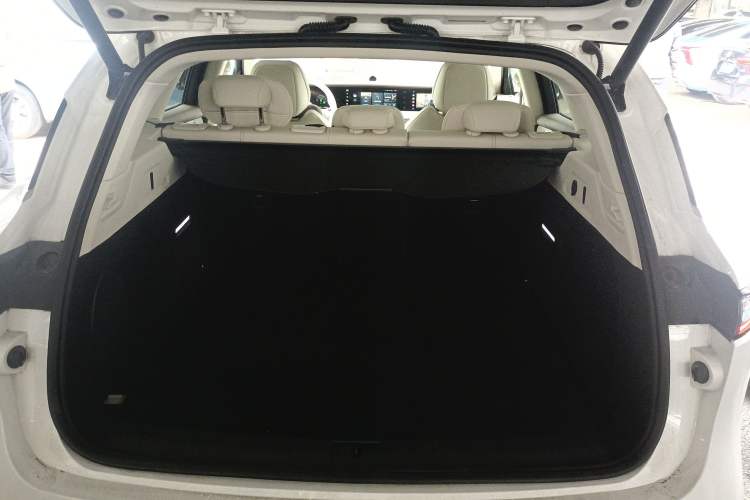 Used VOYAH FREE 2021 Four-Wheel Drive Standard All-Electric Exclusive Luxury Package