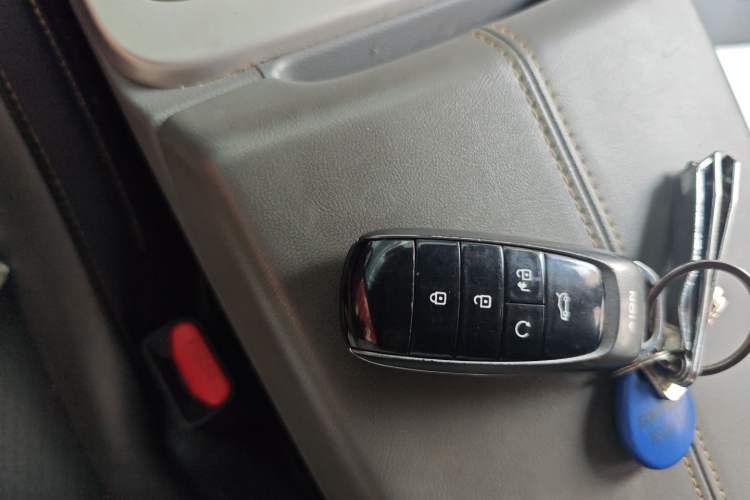 Used AION Y 2022 70 Enjoyment Edition Lithium Iron Phosphate