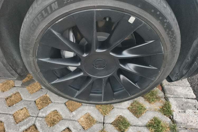 Used Tesla Model Y 2021 Standard Range Rear-Wheel Drive Version