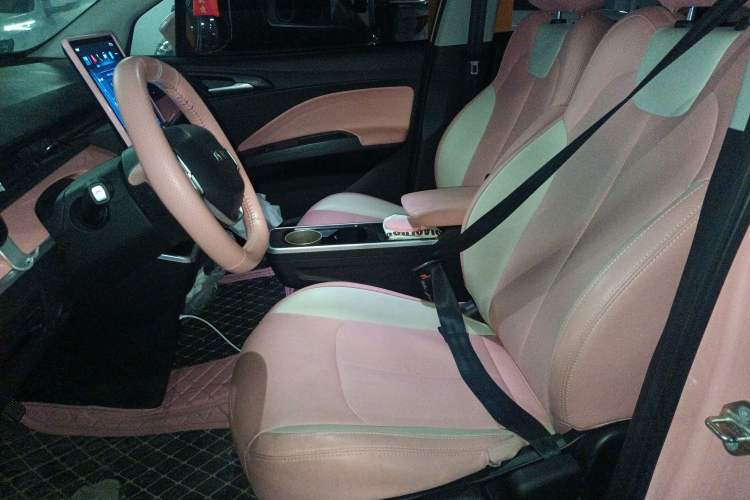 Used NETA V 2022 Chao 400 Lite Pink Custom Edition