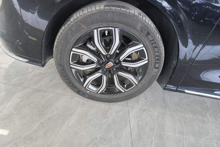 Used Hongqi HQ9 2023 2.0T Smart Connect Flagship Edition