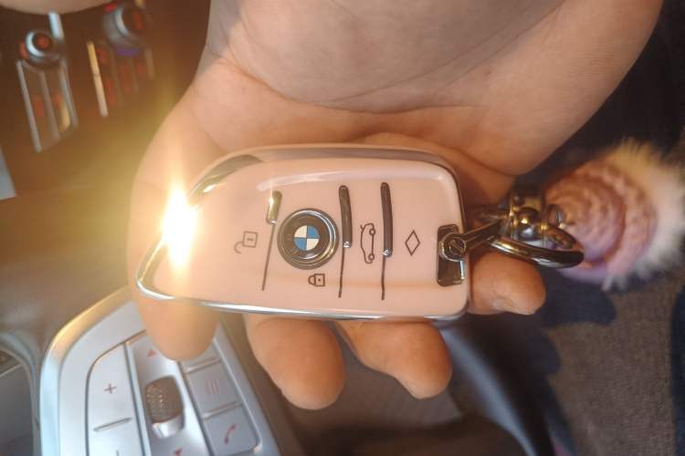 Used BMW 5 Series 2023 530Li Leading Model M Sport Package