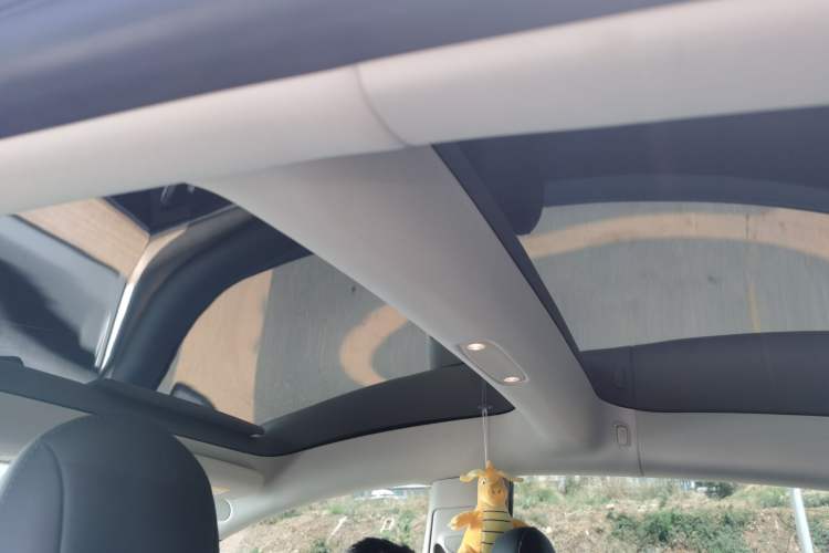 Used Tesla Model 3 2021 Revised Version Standard Range Rear-Wheel Drive Upgraded Edition 3D1